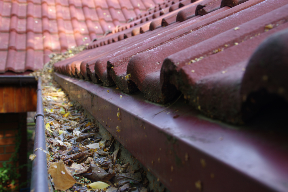 Clogged,Gutter,Through,The,Leaves.,Spring,And,Autumn,Cleaning,Of