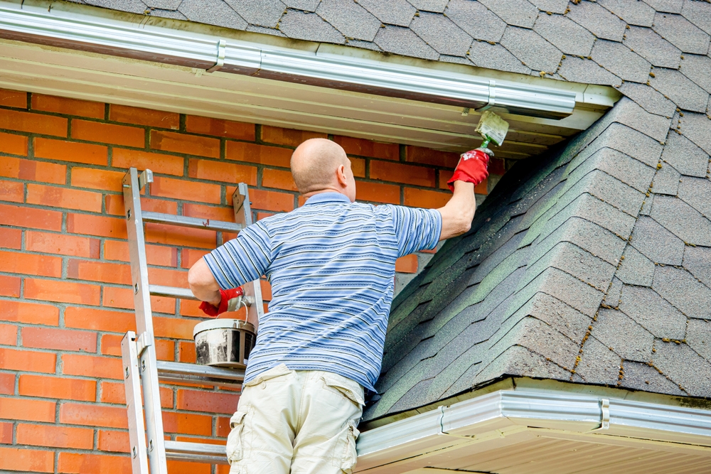 best gutter solutions for wooded areas