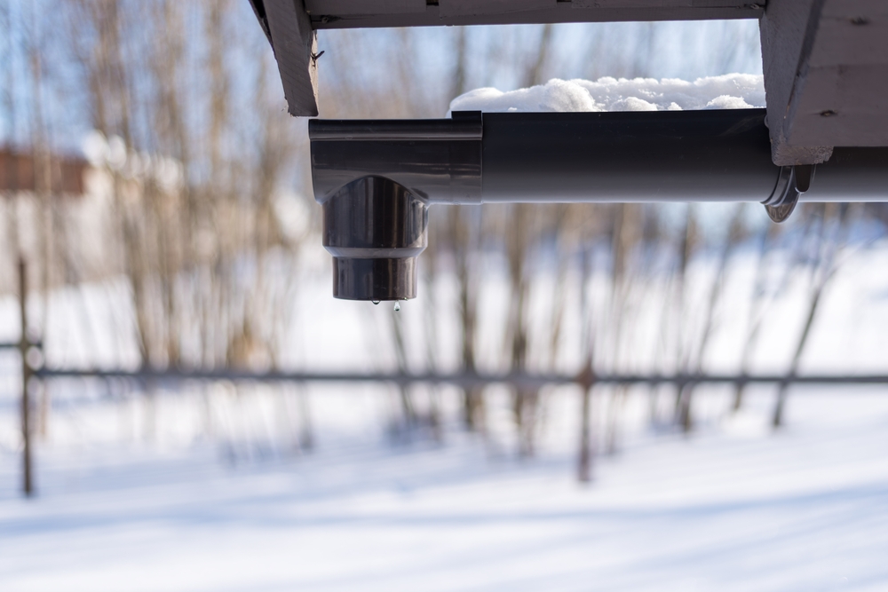 shutterstock 2419869739