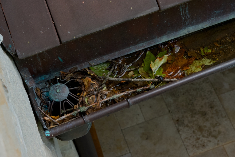 shutterstock 2477438991