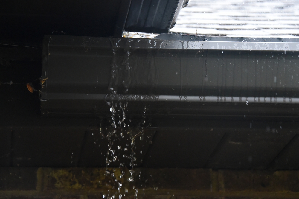 shutterstock 2541741611