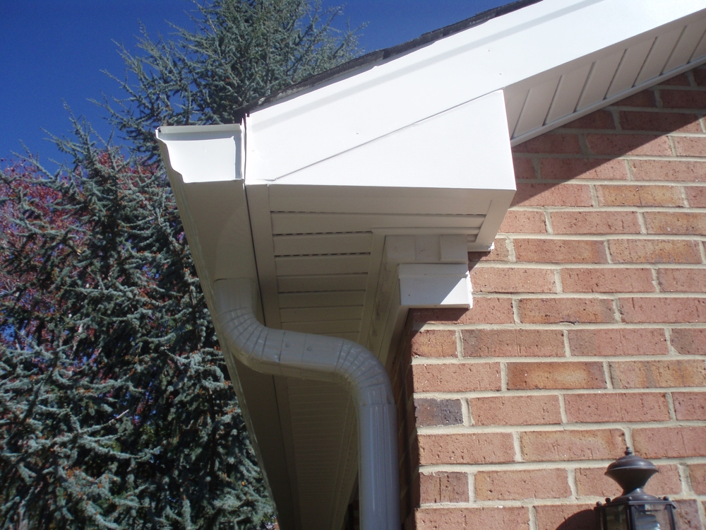 shutterstock 2543515151