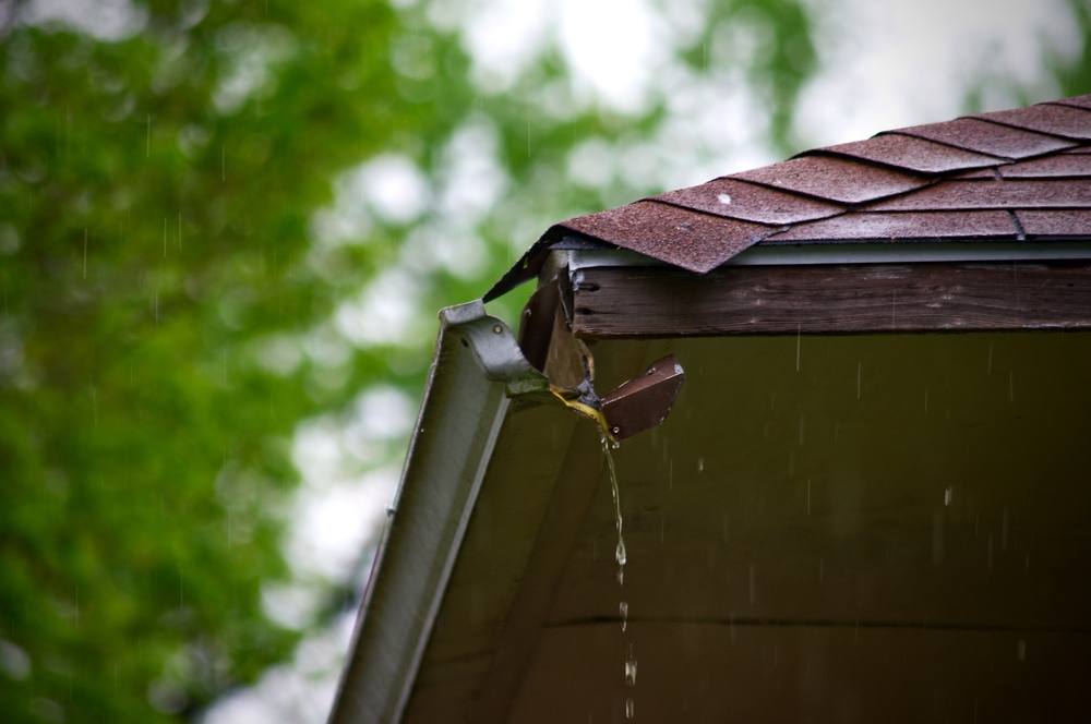 shutterstock 2608898277