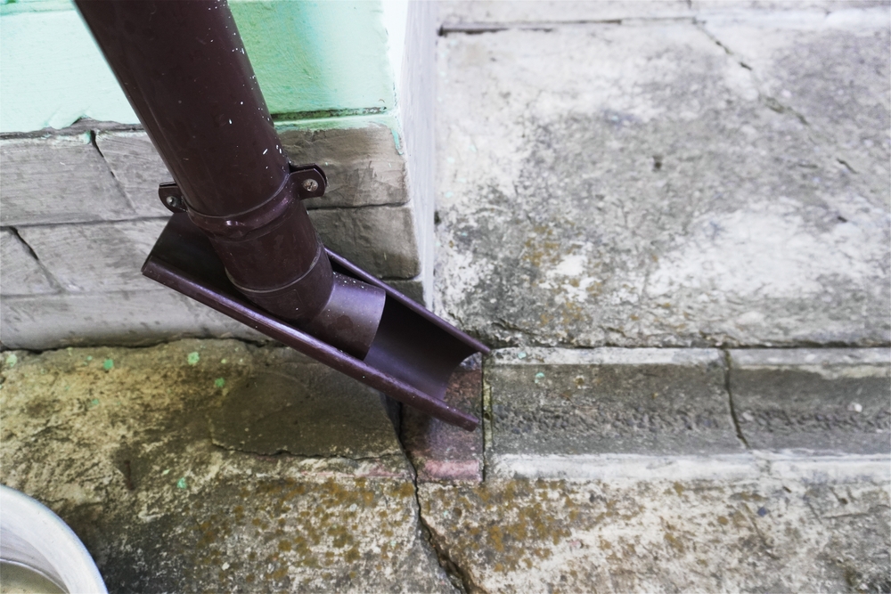 shutterstock 2656755605