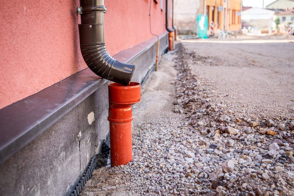 shutterstock 2662553187