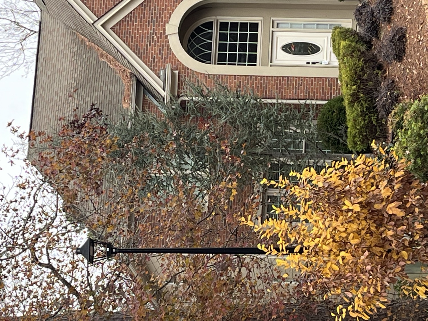 Before photo 6