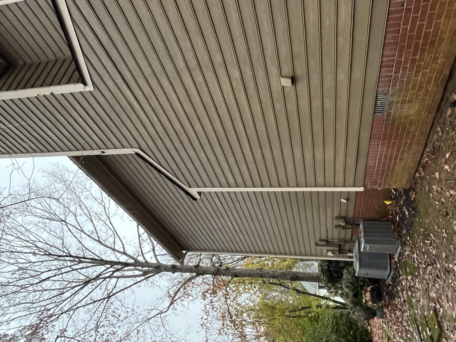Before photo 26
