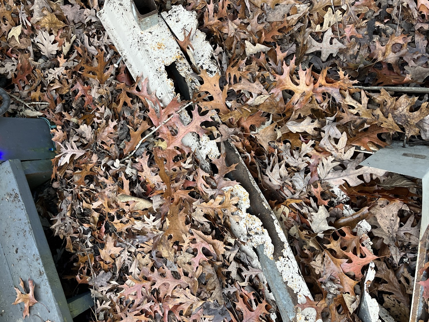 More from this job photo 3