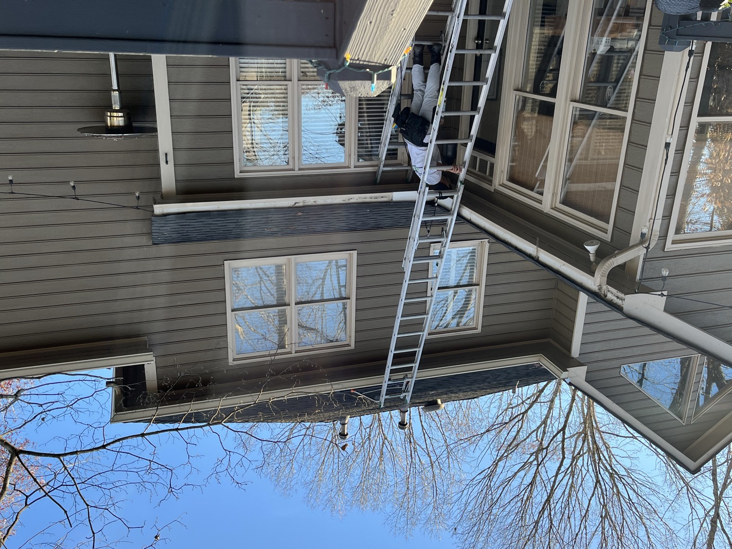 More from this job photo 4