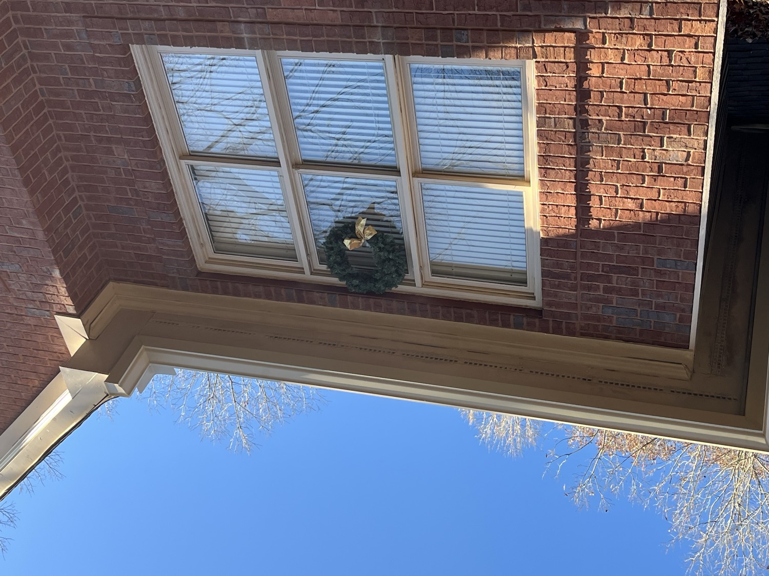 More from this job photo 10