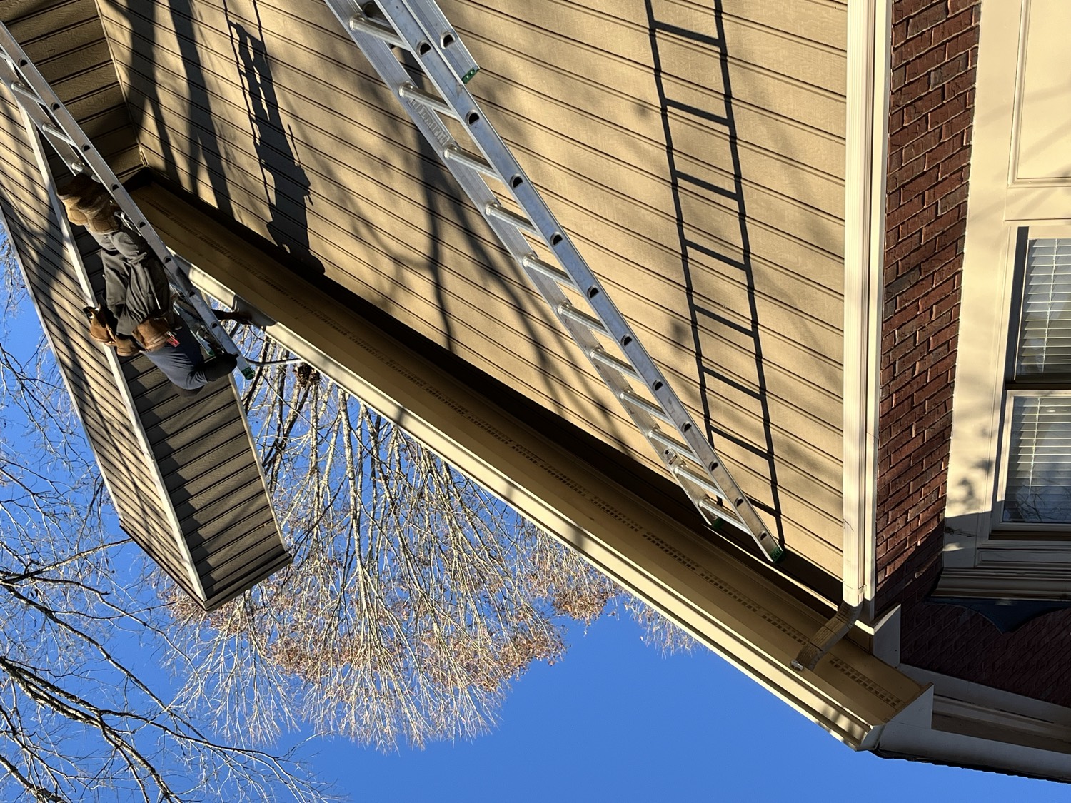 More from this job photo 11